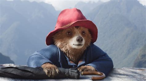 Paddington 3 Release Date Trailer Cast And More