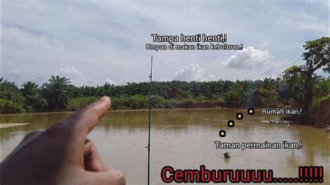 Mancing Ikan Sungai Tampa Henti Henti Umpan Di Makan Ikan Kebuluran