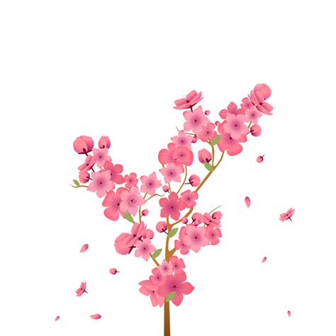 Cherry Blossom Card Vector Png Images Pink Romantic Cherry Blossoms