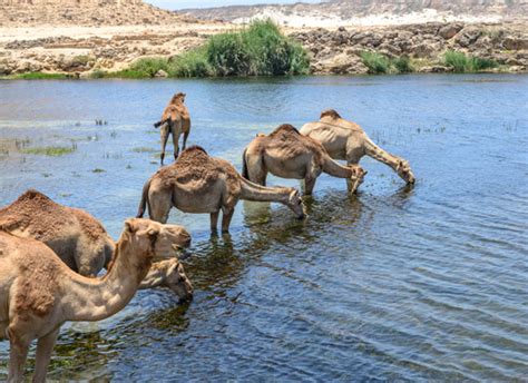 Les Plus Beaux Paysages DOman Rivages Du Monde