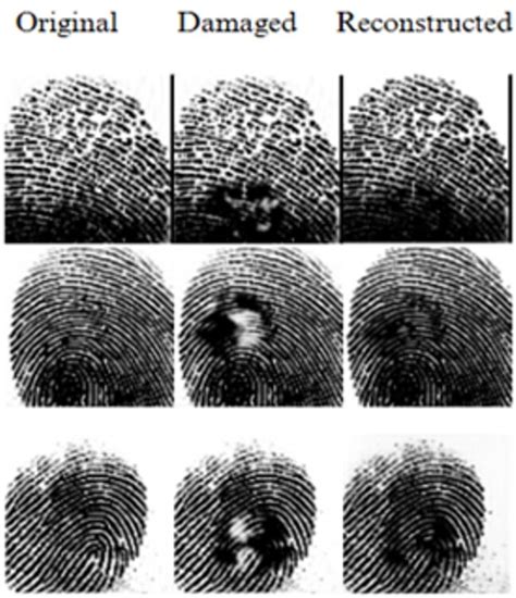 globalcontextenhancer  lightweight framework  fingerprint