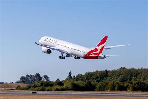 North Asian Carriers Add International Routes Qantas Returns To New