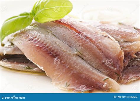 Marinated Anchovies Stock Image Image Of Food Joint 17429919