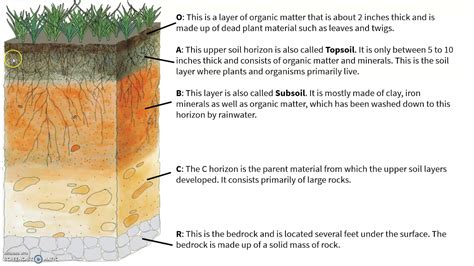 Stages Of Soil Erosion