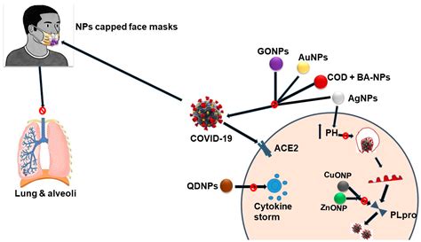 JNT Free Full Text Application Of Nanotechnology In COVID 19