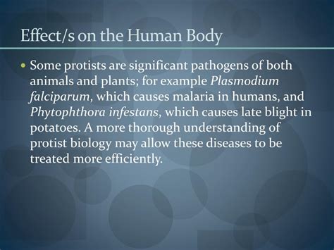 Ppt Protist Powerpoint Presentation Free Download Id5277853