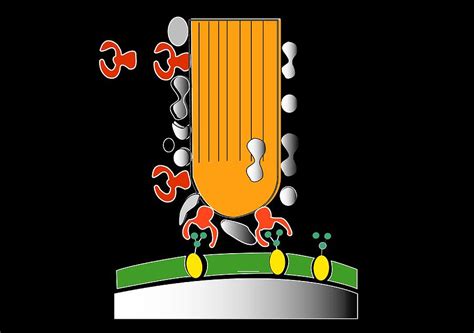 Acrosome Reaction Artwork Photograph By Francis Leroy Biocosmos