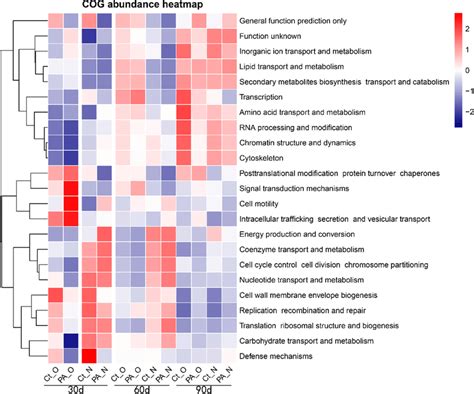 Heatmap Of The Functional Gene Abundances Predicted By Picrust In The Download Scientific