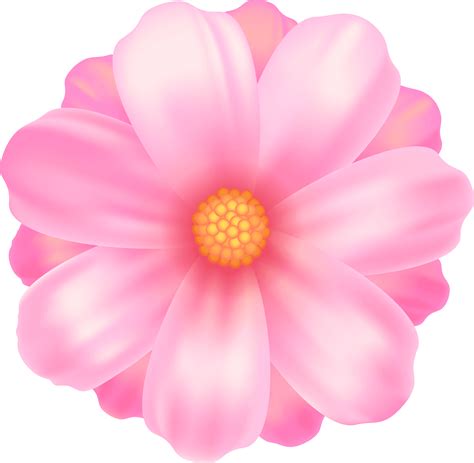 300 Pink Flower Png Images