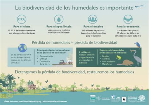 D A Mundial De Los Humedales Urgente Acci N Para La Conservaci N De