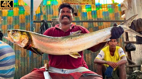 Kasimedu Cheetah Durai Rare Alathi Fish Cutting In Kasimedu K