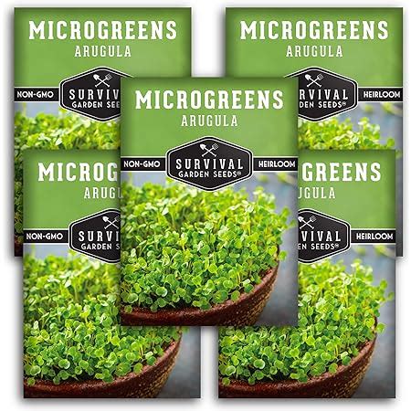 Amazon Survival Garden Seeds Sunflower Microgreens For Sprouting