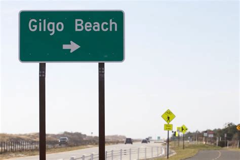 The Gilgo Beach Serial Killings Are Finally Solved What To Know About