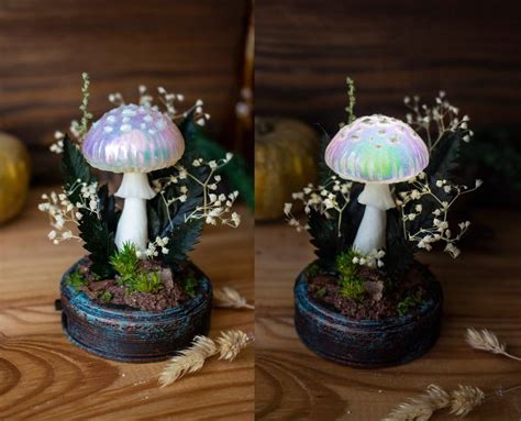 Tiny Iridescence MADE To ORDER Mushroom Night Light Mushroom Lamp