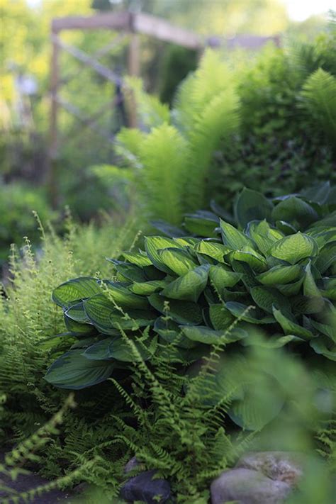 Pin on Understated planting / Ingetogen beplanting | Sloped garden ...