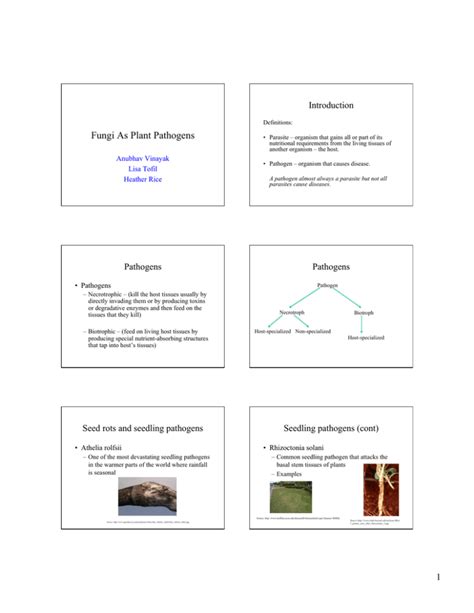 Fungi As Plant Pathogens Introduction