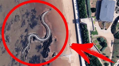 Titanoboa Monster Snake Skeleton Creepy Google Earth Jet And Gliss