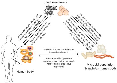 Ijms Free Full Text Metagenomics A New Way To Illustrate The