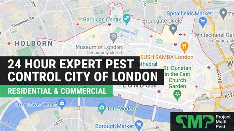 Pest Control In City Of London Professional 24 Hour Service