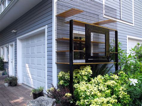 Outdoor Cat Enclosure Beautiful World Living Environments