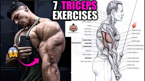 Big Triceps Workout At Home ️ Youtube