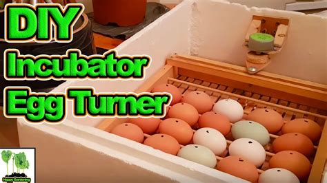 Home Made Poultry Hen Duck Incubator With Automatic Egg Turner Youtube