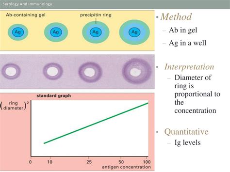 What Is Radial Immunodiffusion At Emmett Andrew Blog