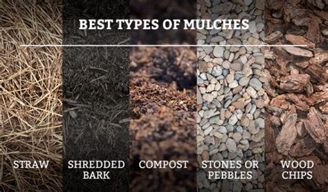 Maintaining Mulch Year Round Patuxent Nursery