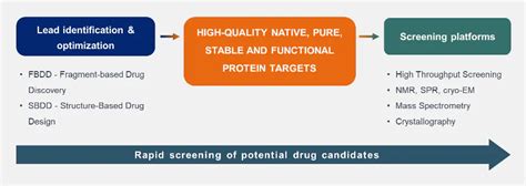 Drug Discovery With Recombinant Proteins Eurofins Calixar