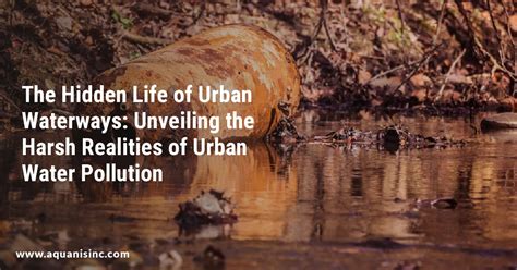 The Hidden Life of Urban Waterways