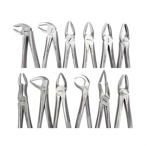 Buy GDC Extraction Forceps Standard S 12 Pouch Online At Best Prices