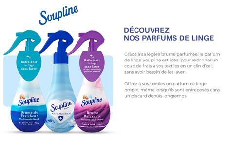 Introduce Imagen Parfumer Sa Maison Avec De La Soupline Fr