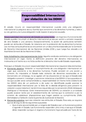 Resumen Primer Parcial Ddhh Pdf