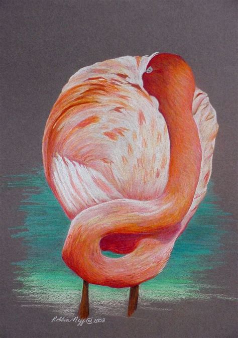 Flamingo Balancing Act Colored Pencil On Paper By Robbin Neff