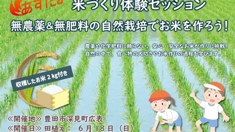 「あすた米（まい）プロジェクト」無農薬＆無肥料の自然栽培でお米づくりに挑戦！ │ トライアーティスト公式ブログ