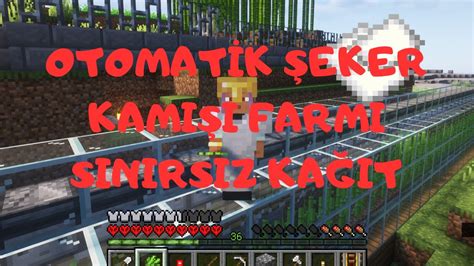 OTOMATİK ŞEKER KAMIŞI FABRİKAMIZI KURDUK MINECRAFT HARDCORE YouTube