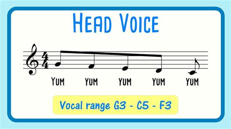 Head Voice Vocal Warm Up Male Singers Yum Yum Youtube