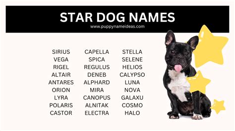 150+ Star Dog Names - Puppy Name Ideas