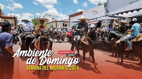 AMBIENTE EN EL JARDÍN DE JEREZ CON BANDA Y CABALLOS YouTube