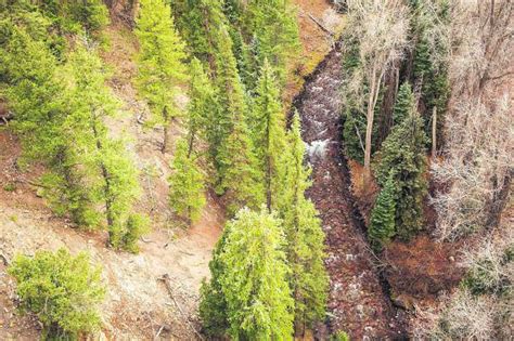 Aspen Takes Next Step On Potential Dams At Castle And Maroon Creeks