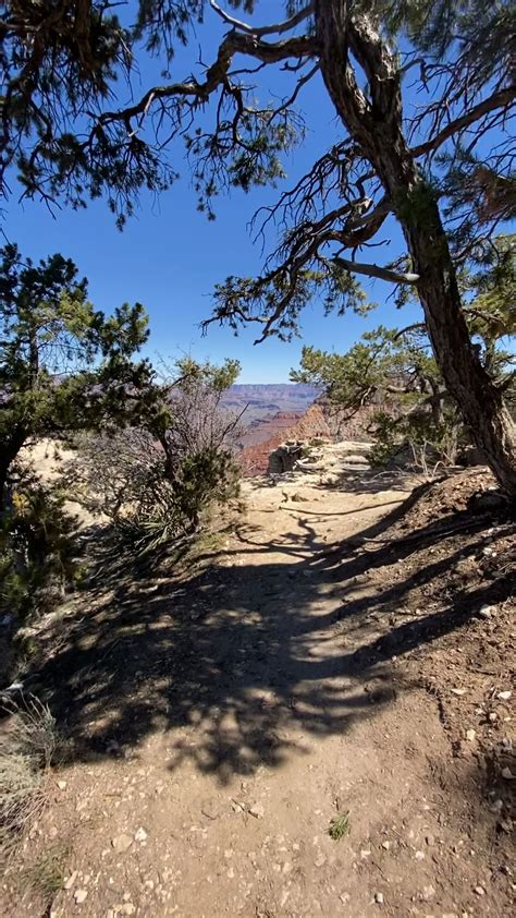 South Rim Trail, Grand Canyon National Park, Arizona USA : r/hiking