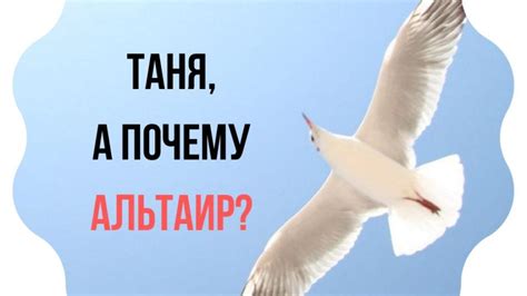 Таня Альтаир Тур. А почему Альтаир? | Татьяна Аблясова