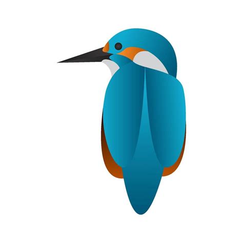 Gradient Kingfisher Bird Vector Illustration 10399760 Vector Art At