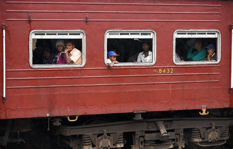 Sri Lanka Ros Alba Flickr