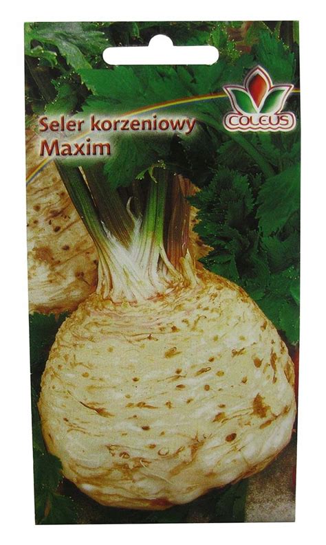 Seler Korzeniowy Maxim 1g Coleus 1086 • Cena Opinie • Warzywa