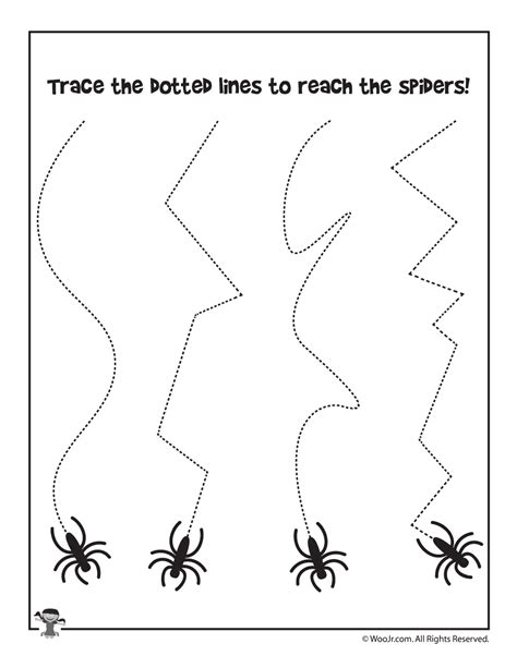 Spider Worksheets