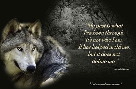 11 best WOLVES QUOTES images on Pinterest | Wolf quotes, A wolf and Bad ...