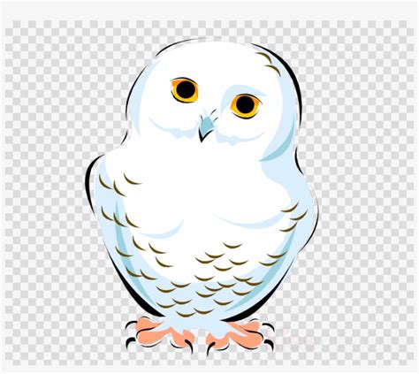 Snowy Owl Clip Art Clipart Snowy Owl Clip Art - Hedwig Owl Clipart Transparent PNG Image ...