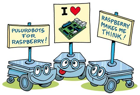 Pulurobots Raspberry Electronics Lab