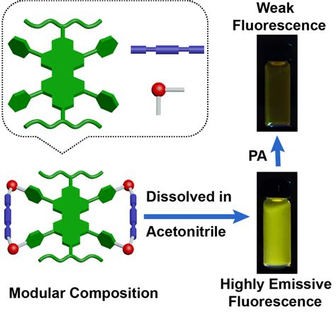 Publications Xi An Jiaotong University Supramolecular Materials Laboratory